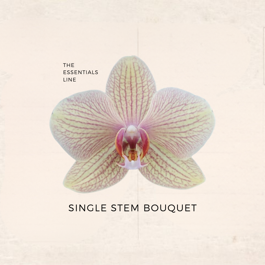 Single Stem Bouquet