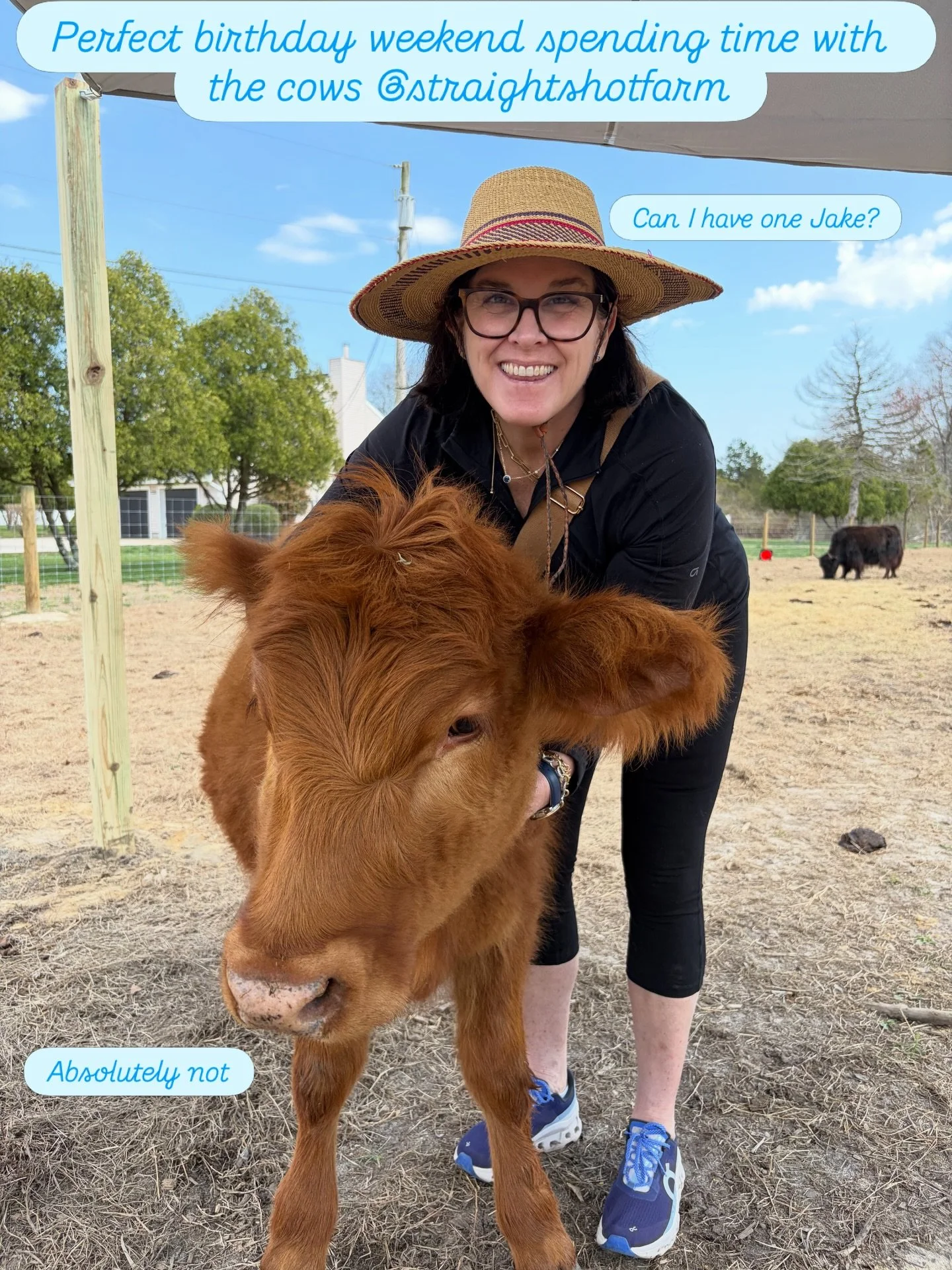 Thank god there is a new puppy on the way or I may have taken one of these home #thisis54 #pettingbabycows