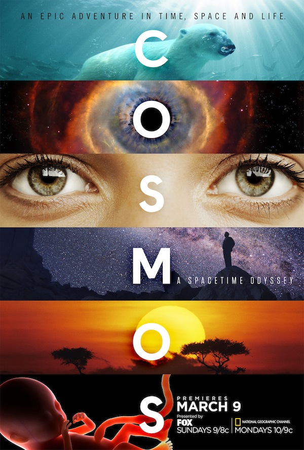 7-cosmos-portrait.jpg