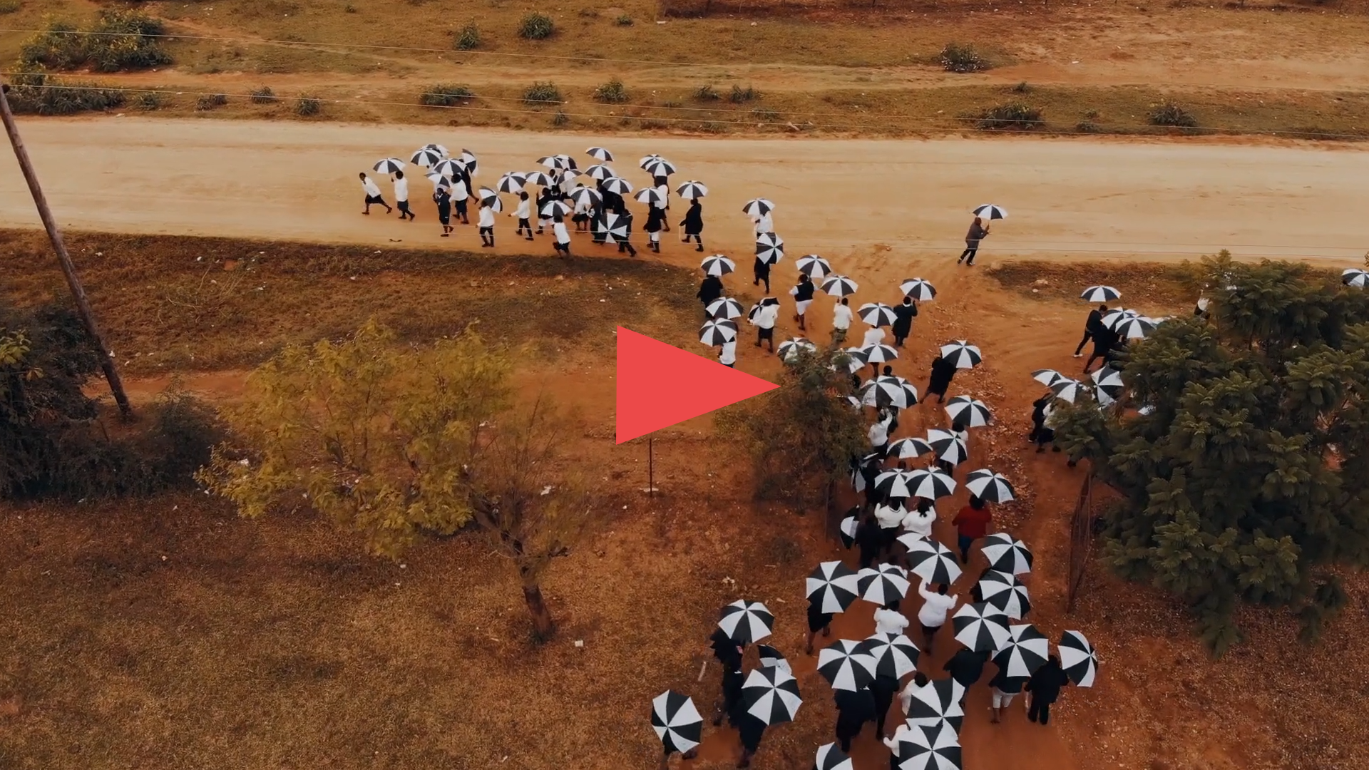 Grow Great - NGO Campaign