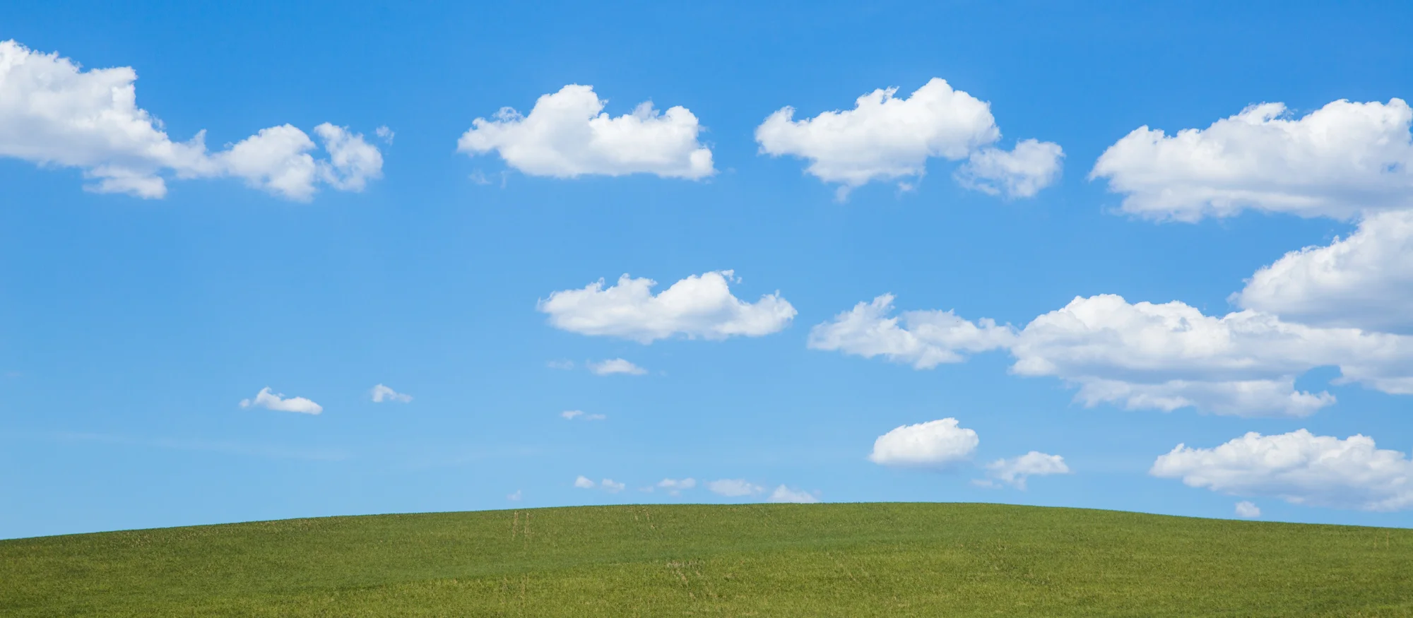 20150103_5688_beaupilgrim.jpg