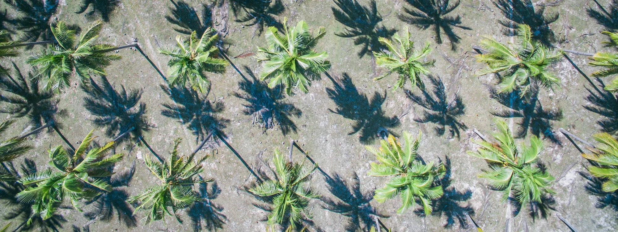 20141013_DJI_0182_beaupilgrim.jpg