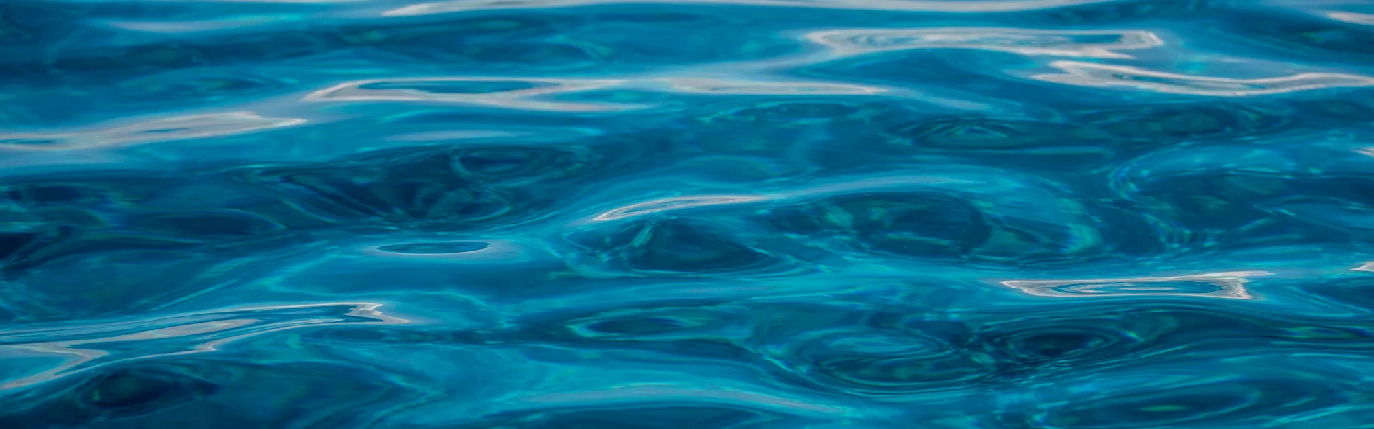20150928_5D3A3775_beaupilgrim.jpg