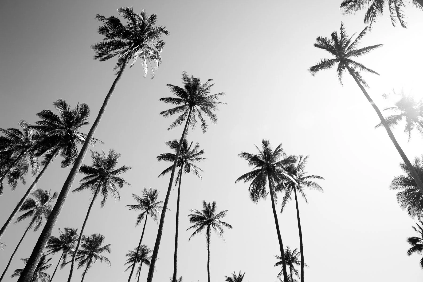 Beau_Pilgrim_Photography_Black_&_White-2.jpg