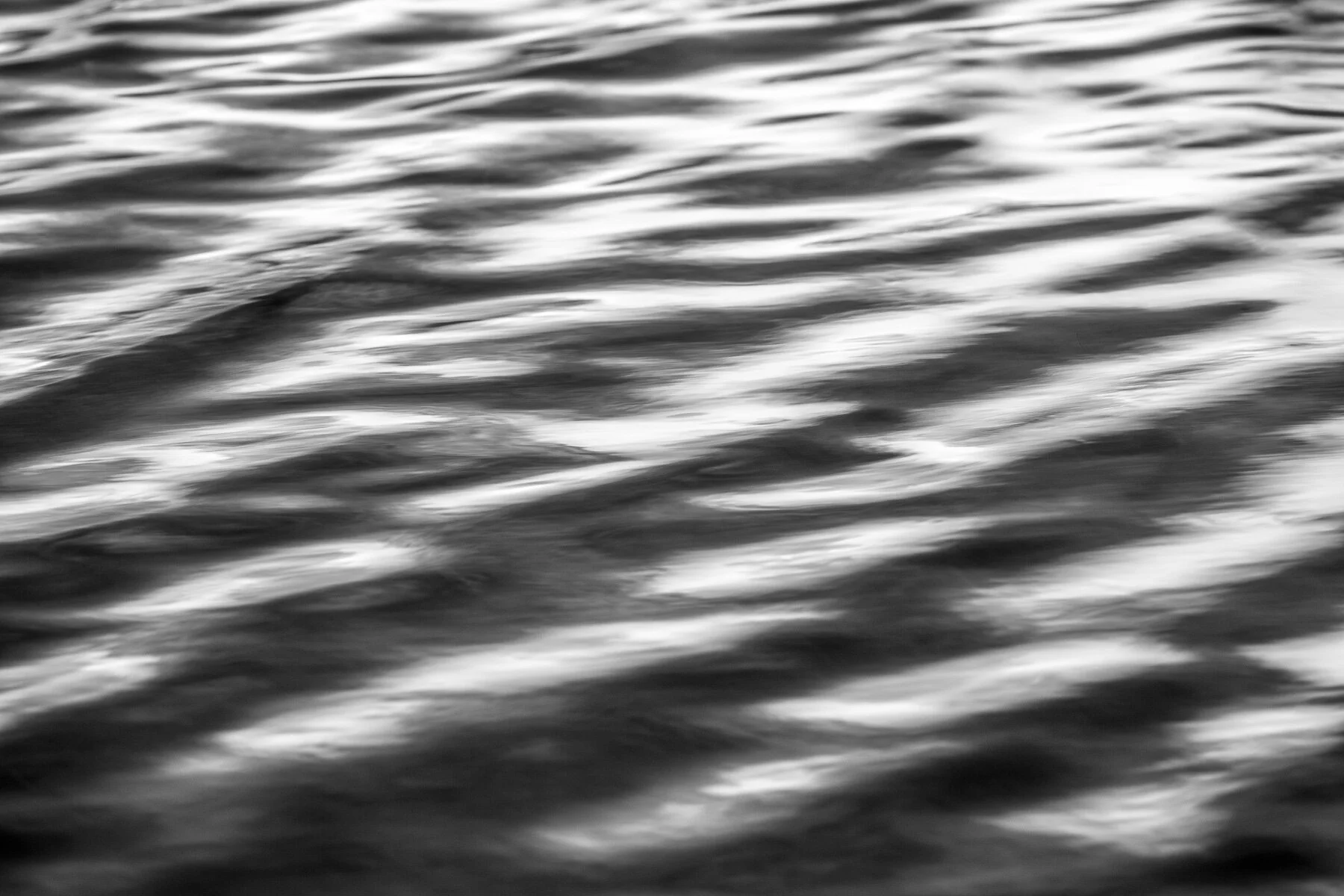 Beau_Pilgrim_Photography_Black_&_White-4.jpg