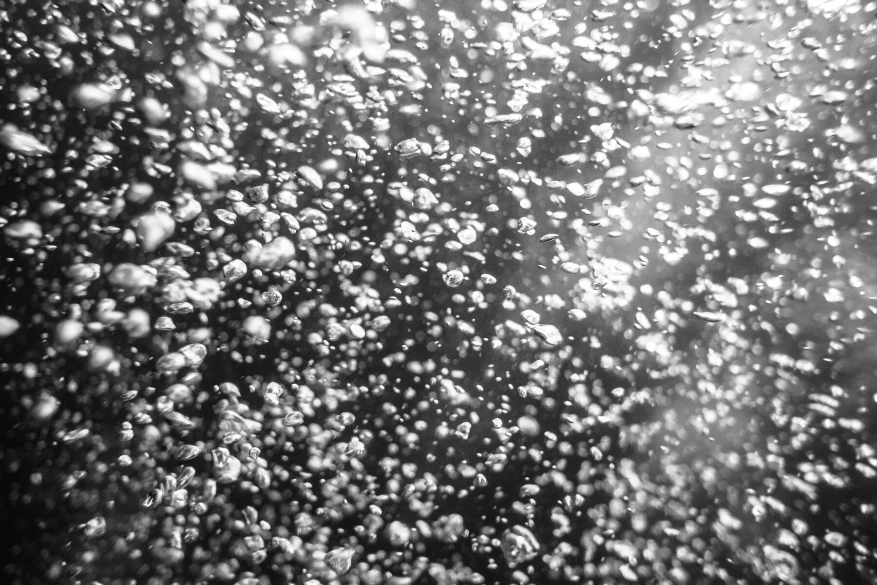 Beau_Pilgrim_Photography_Black_&_White-9.jpg