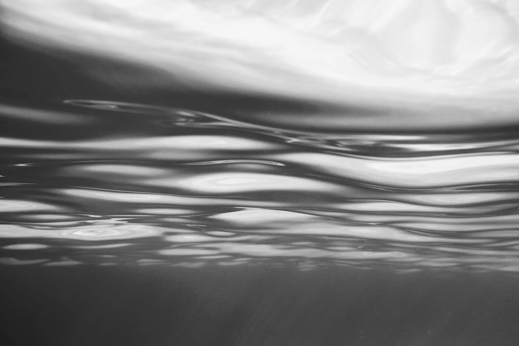 Beau_Pilgrim_Photography_Black_&_White-10.jpg