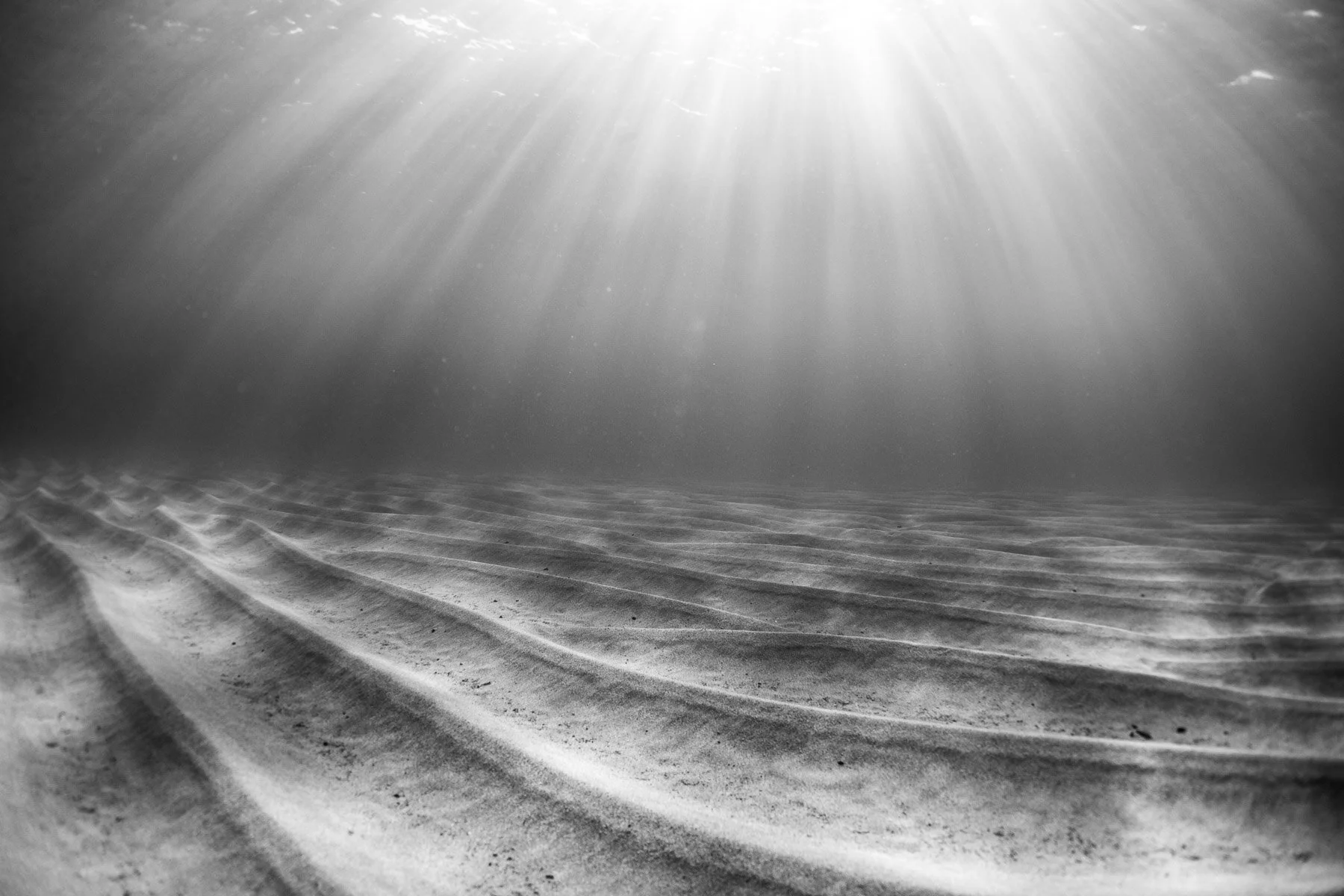 Beau_Pilgrim_Photography_Black_&_White-13.jpg