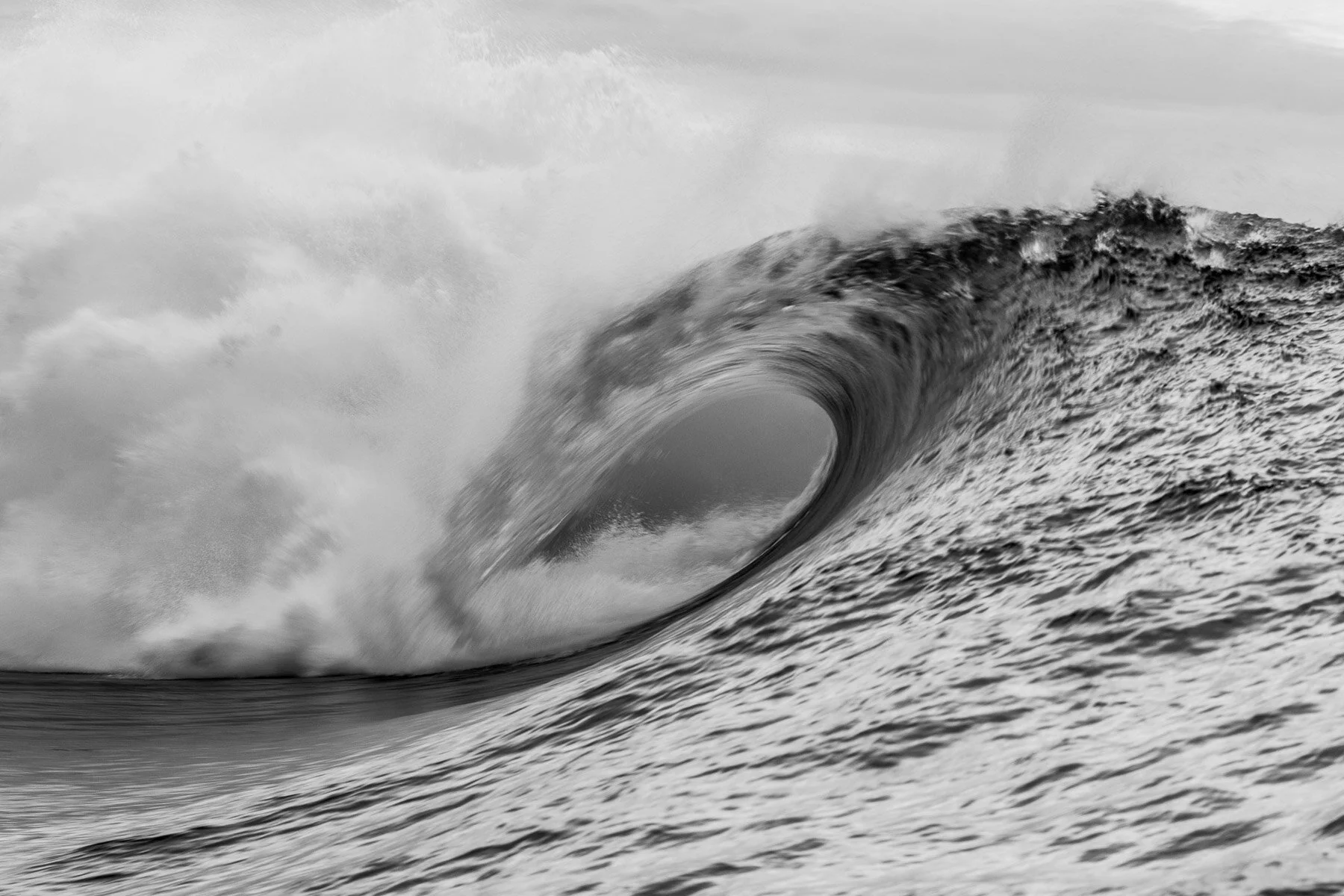 Beau_Pilgrim_Photography_Black_&_White-17.jpg