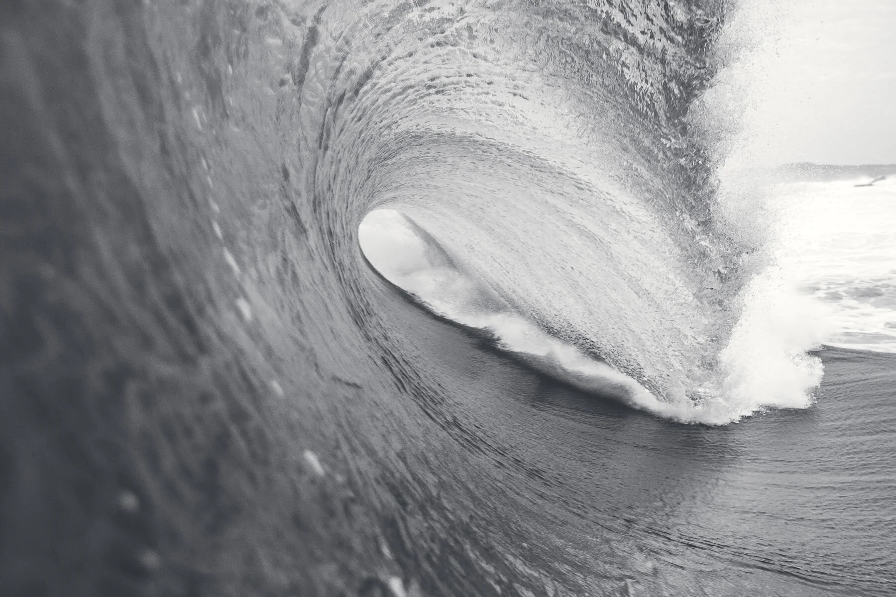 Beau_Pilgrim_Photography_Black_&_White-18.jpg