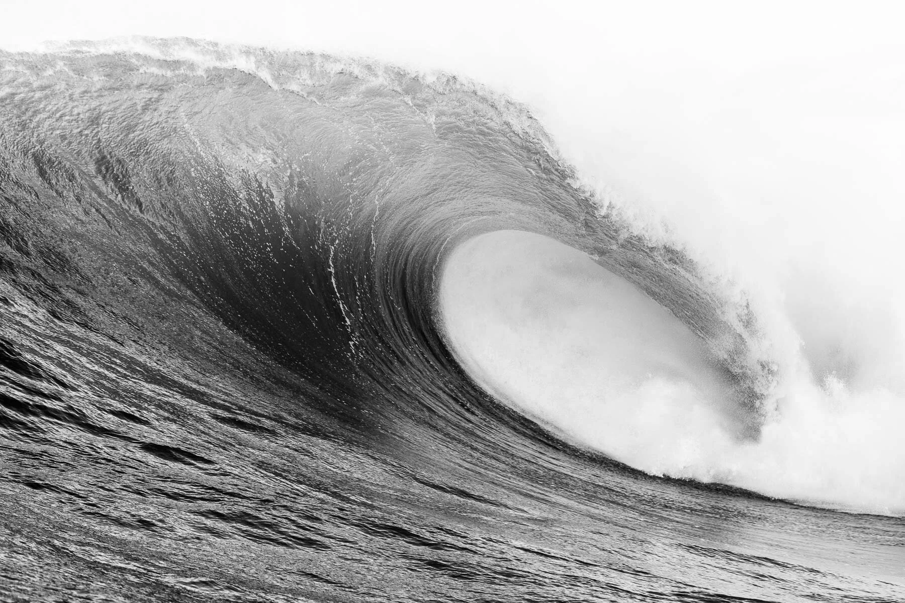 Beau_Pilgrim_Photography_Black_&_White-21.jpg