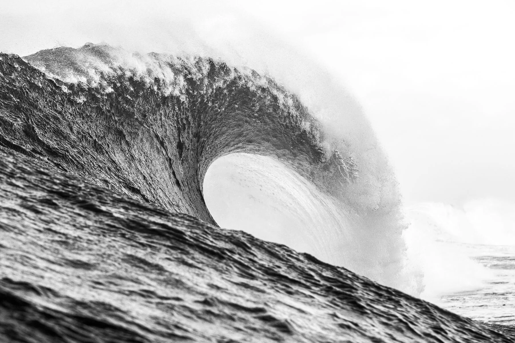 Beau_Pilgrim_Photography_Black_&_White-22.jpg
