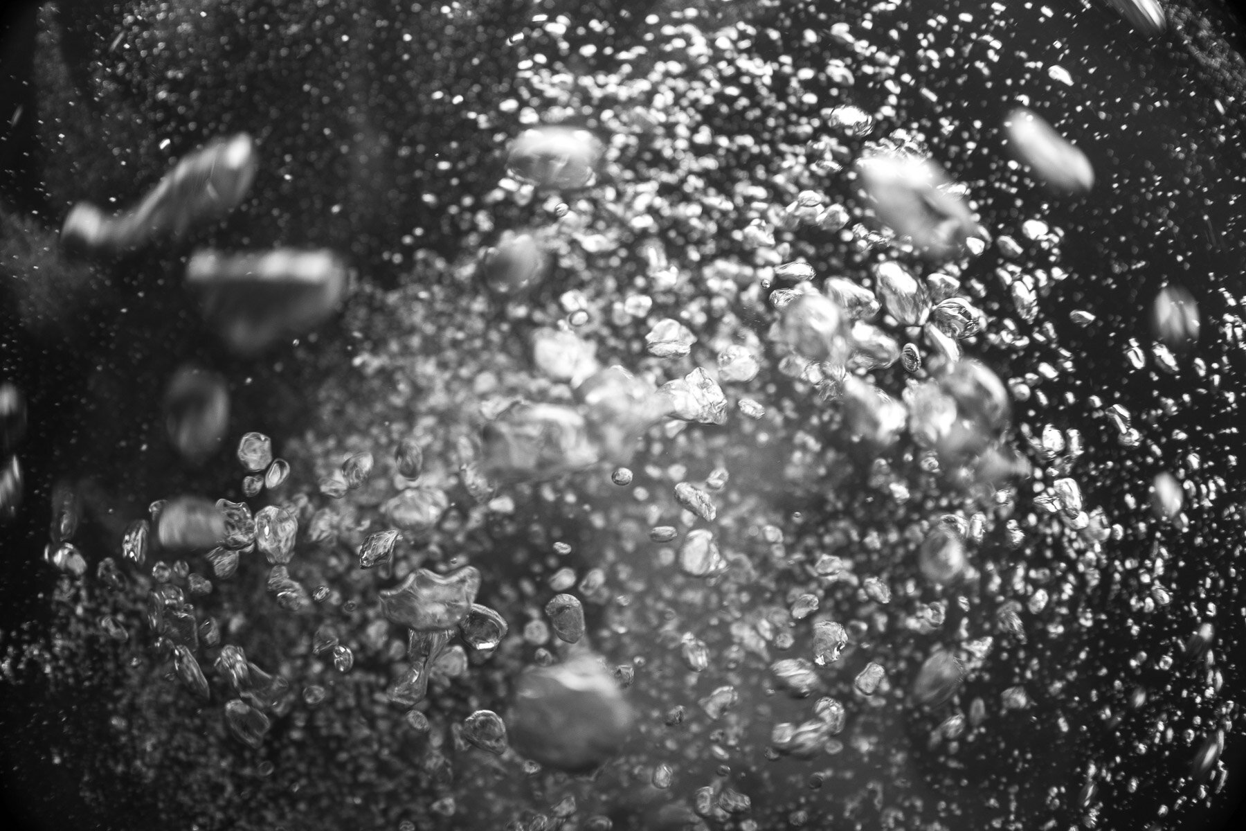 Beau_Pilgrim_Photography_Black_&_White-23.jpg