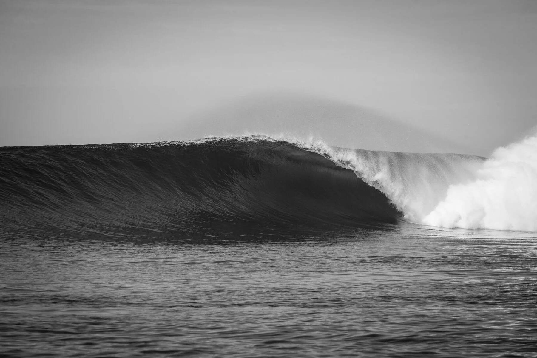 Beau_Pilgrim_Photography_Black_&_White-27.jpg