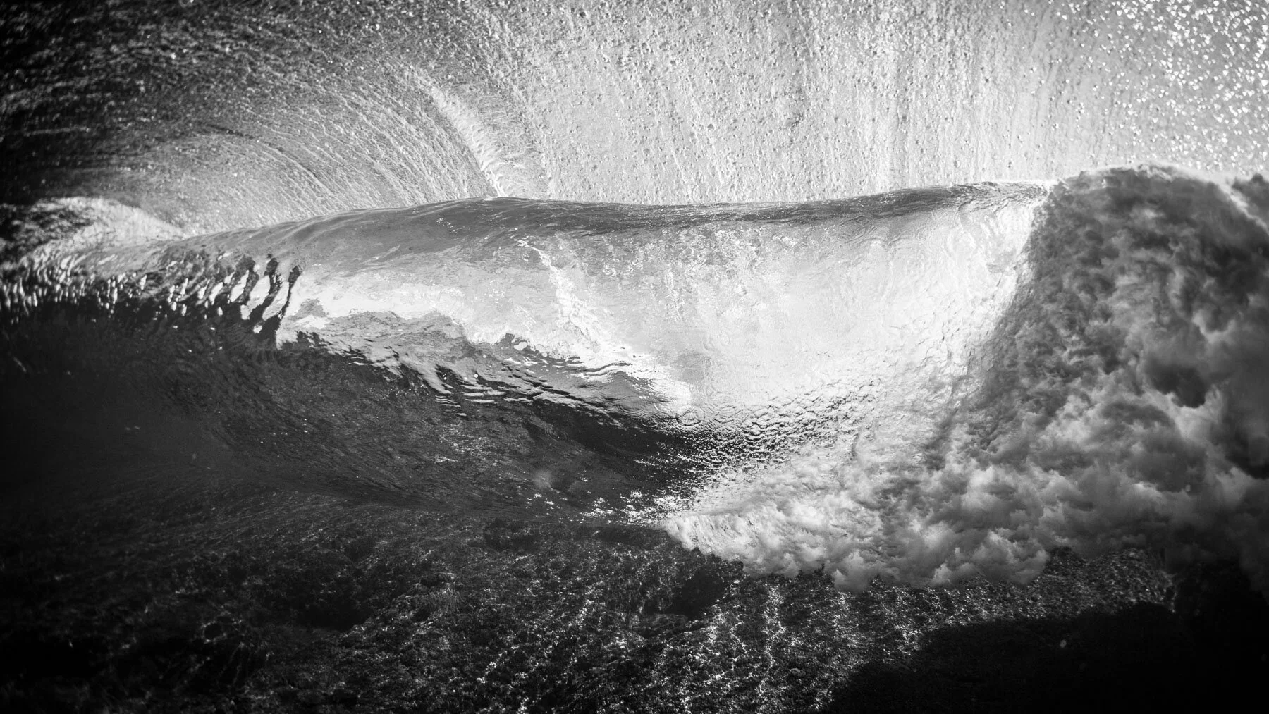 Beau_Pilgrim_Photography_Black_&_White-28.jpg