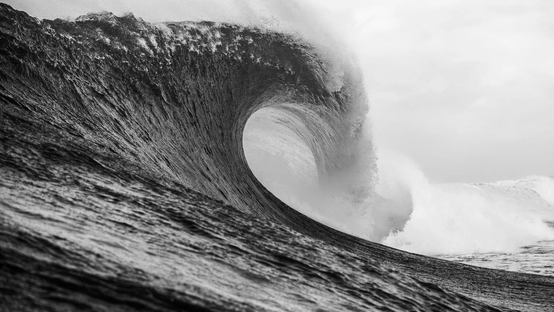 Beau_Pilgrim_Photography_Black_&_White-32.jpg