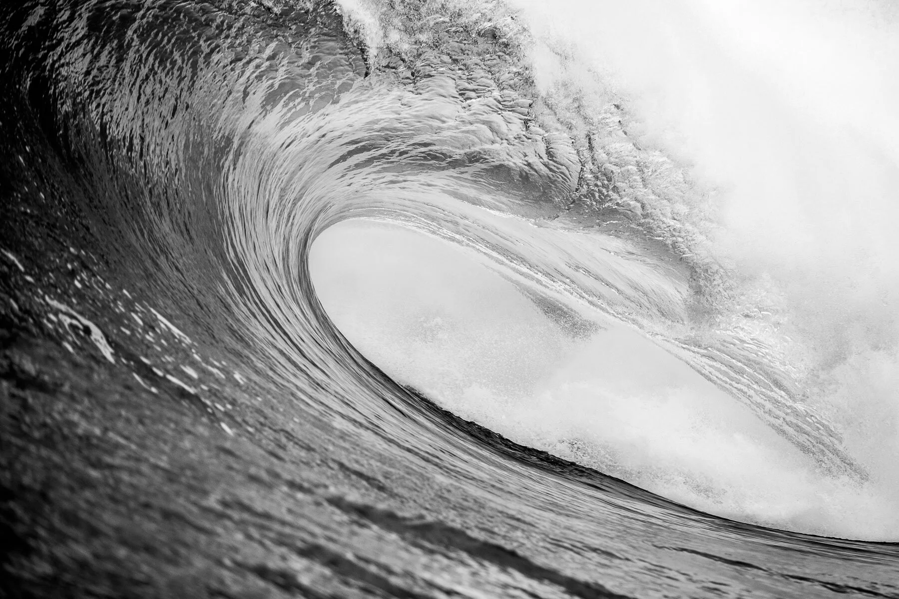 Beau_Pilgrim_Photography_Black_&_White-33.jpg
