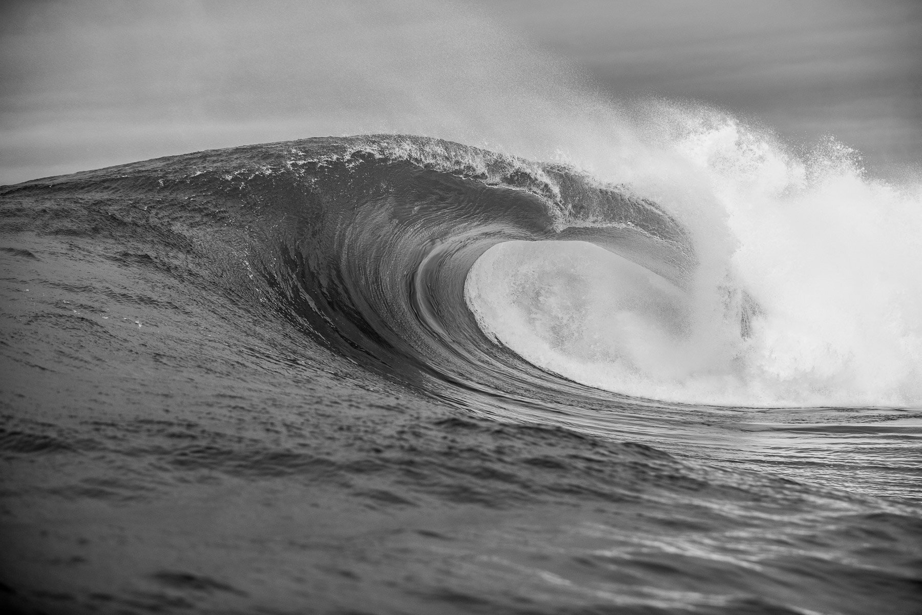 Beau_Pilgrim_Photography_Black_&_White-34.jpg