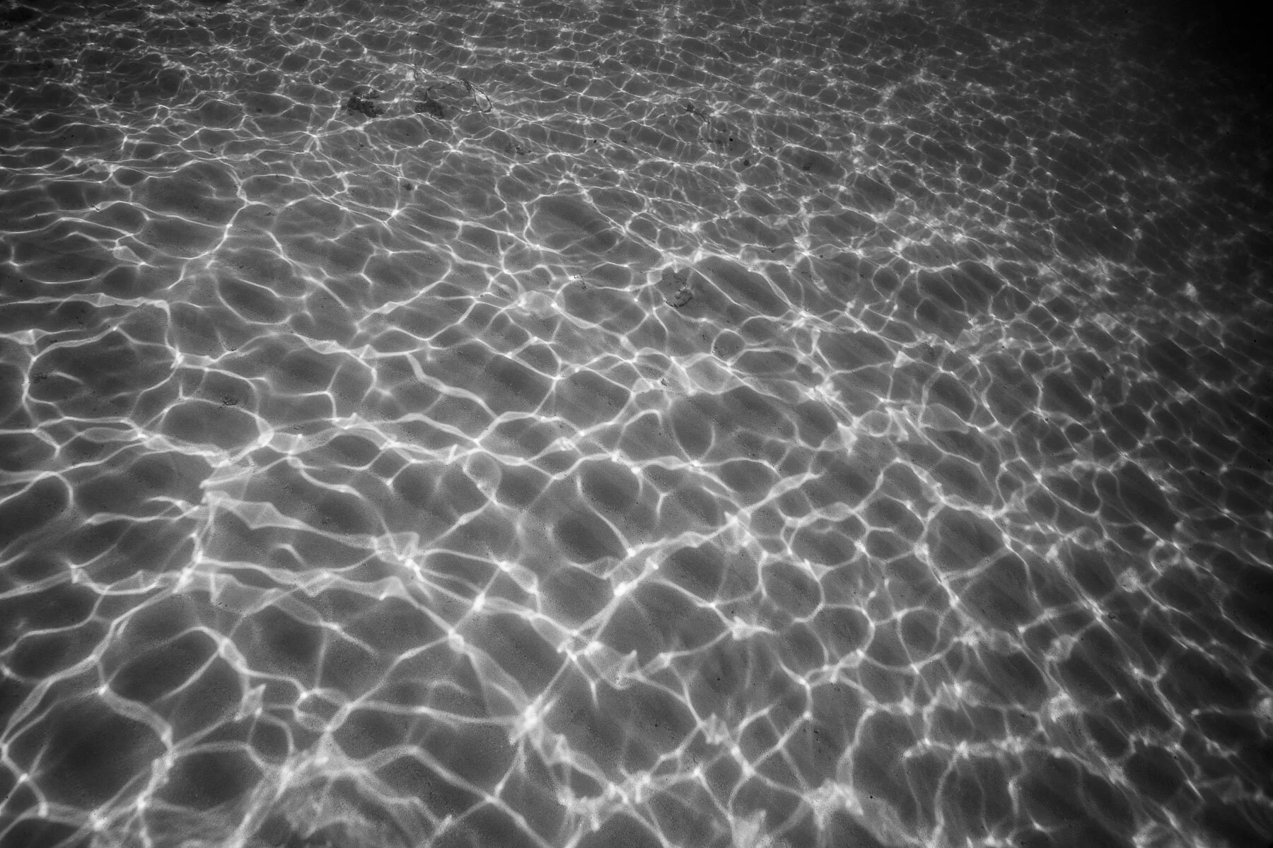 Beau_Pilgrim_Photography_Black_&_White-46.jpg