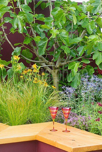 hampton-court-flower-show-2004-summer-cocktail-des-garden-vision-contemporary-small-garden-with-colourful-walls-intense-modern-planting-low-wooden-s.jpg