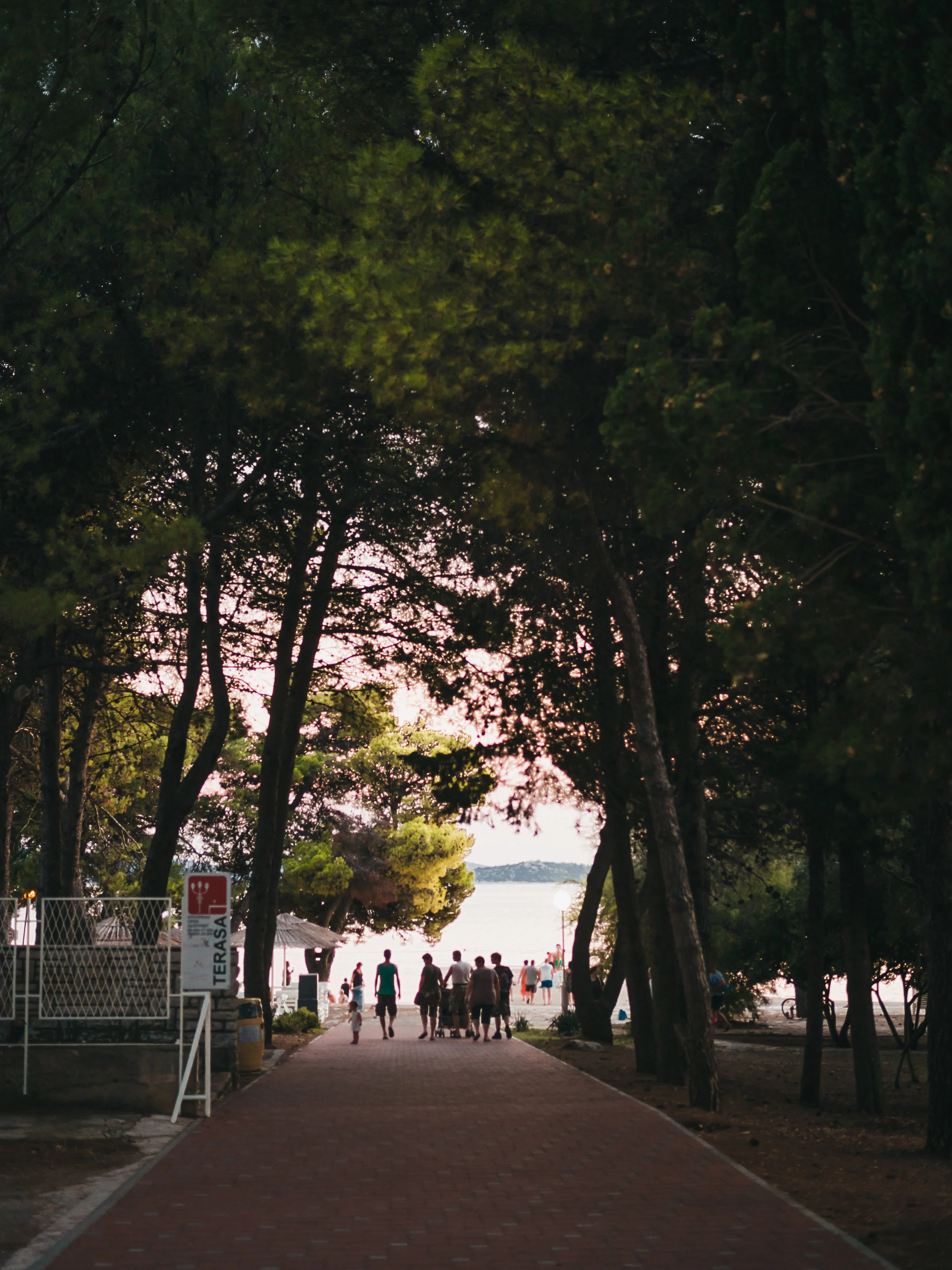20180731-P7312793.jpg