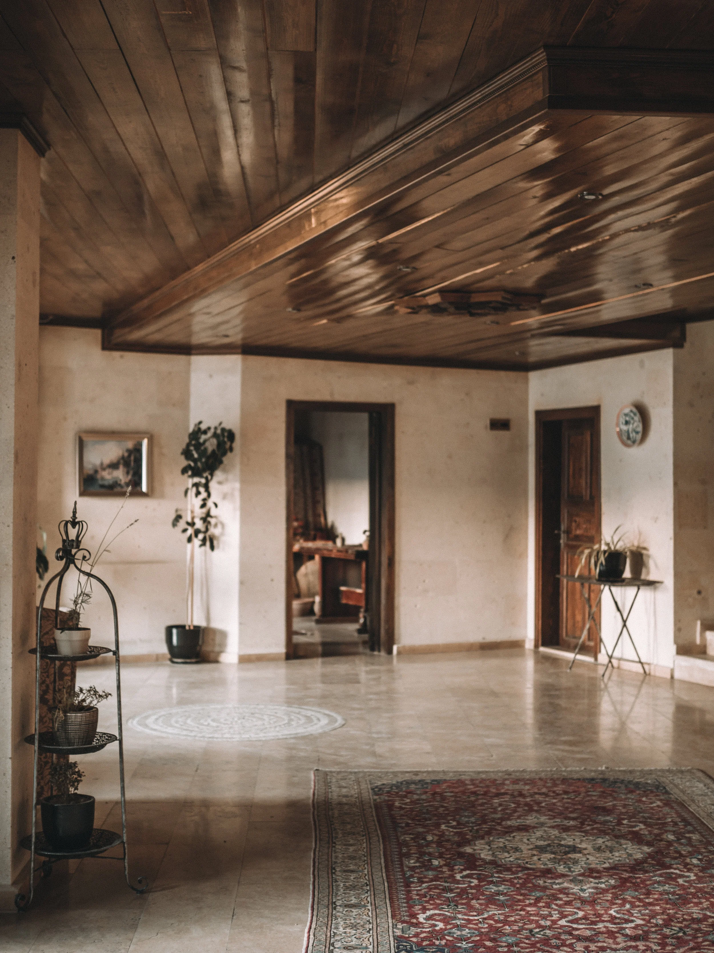P9066152-566.jpg
