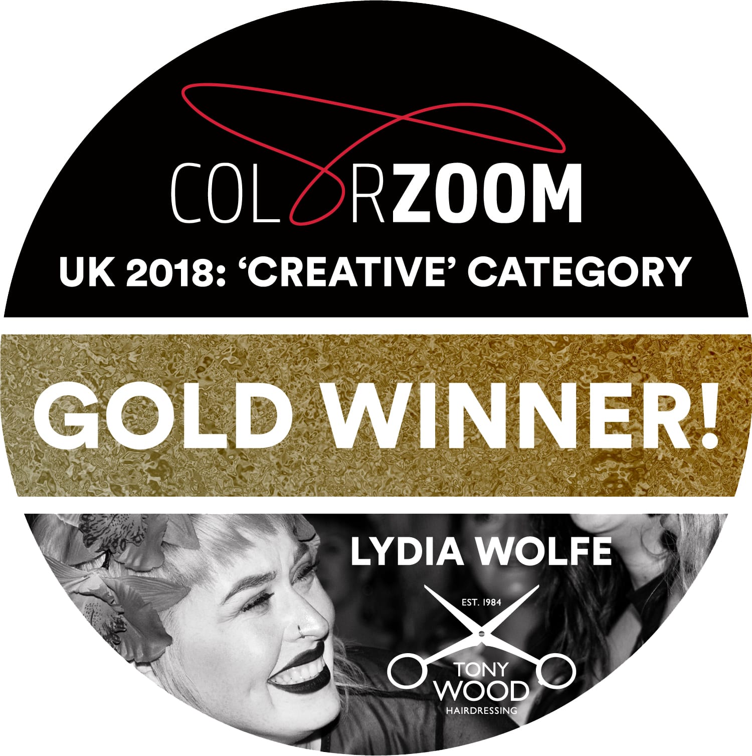 Gold Winner Goldwell Color Zoom 2018.jpg
