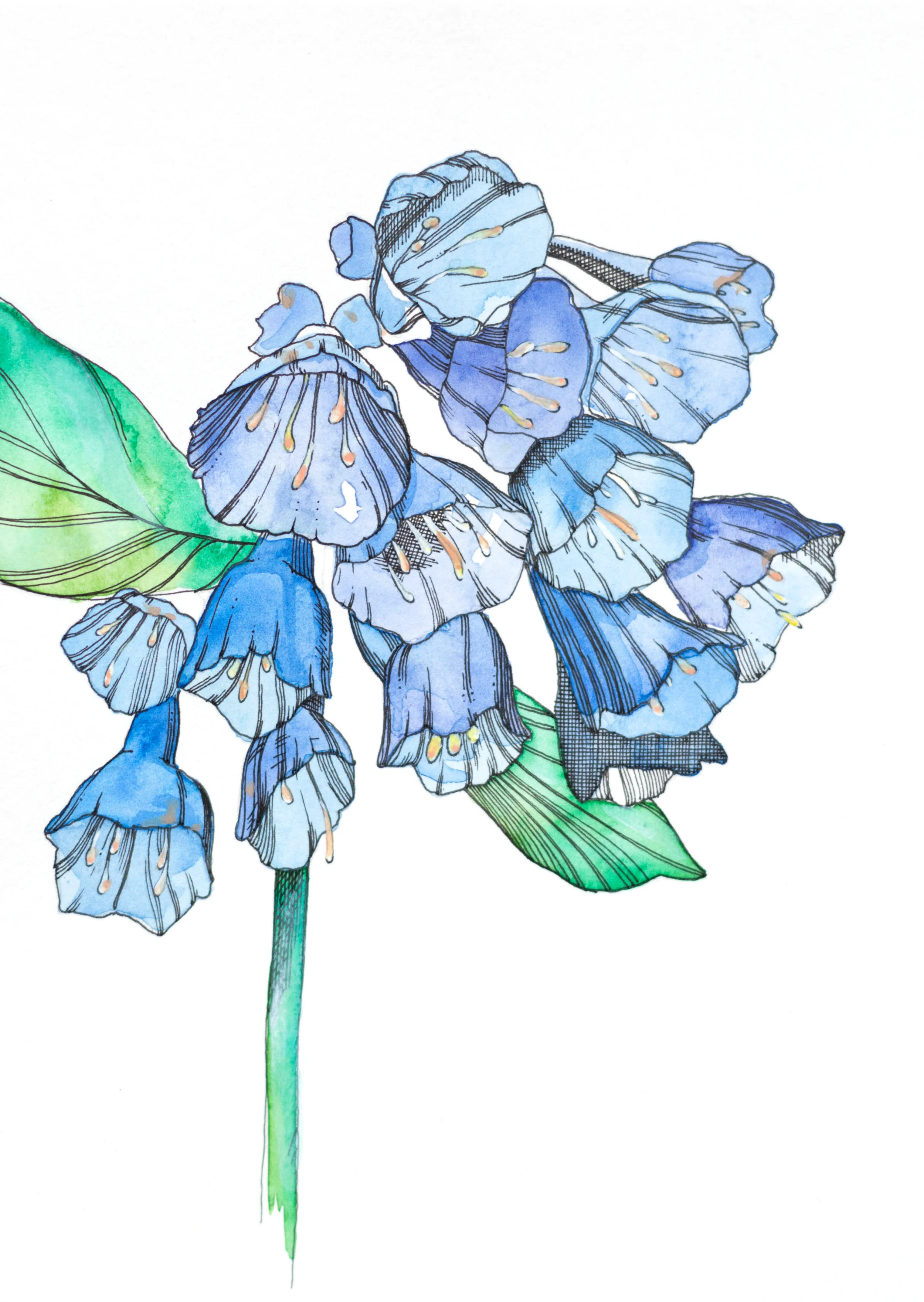 DE for cover 0X3A5610.jpg