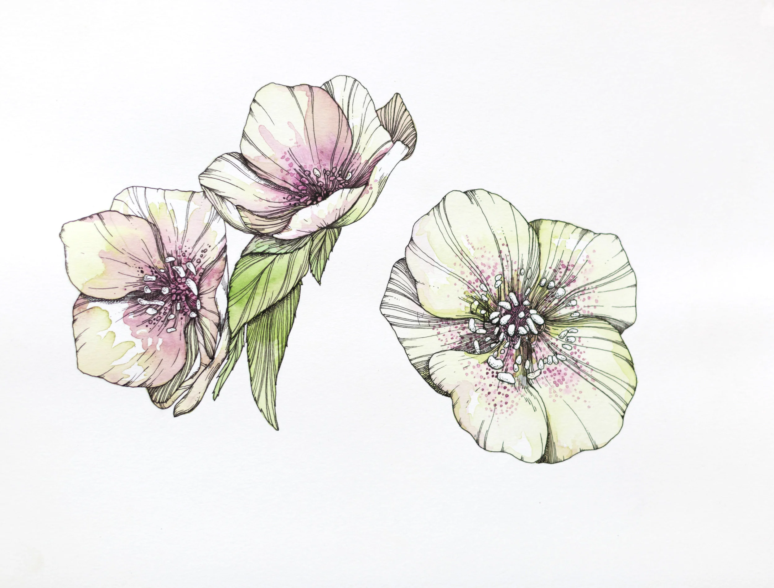 DE for cover WINTER HR.jpg