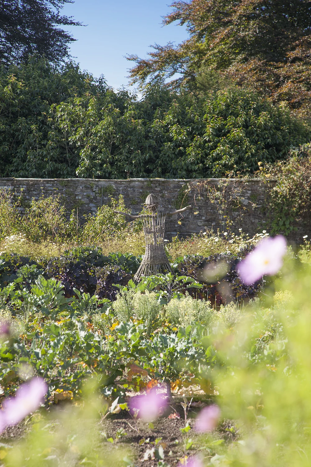ballyfin walled garden james fennell