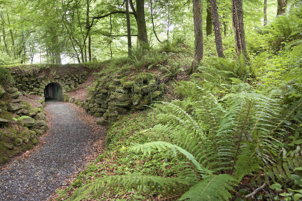 ballyfin ferns andrea jones