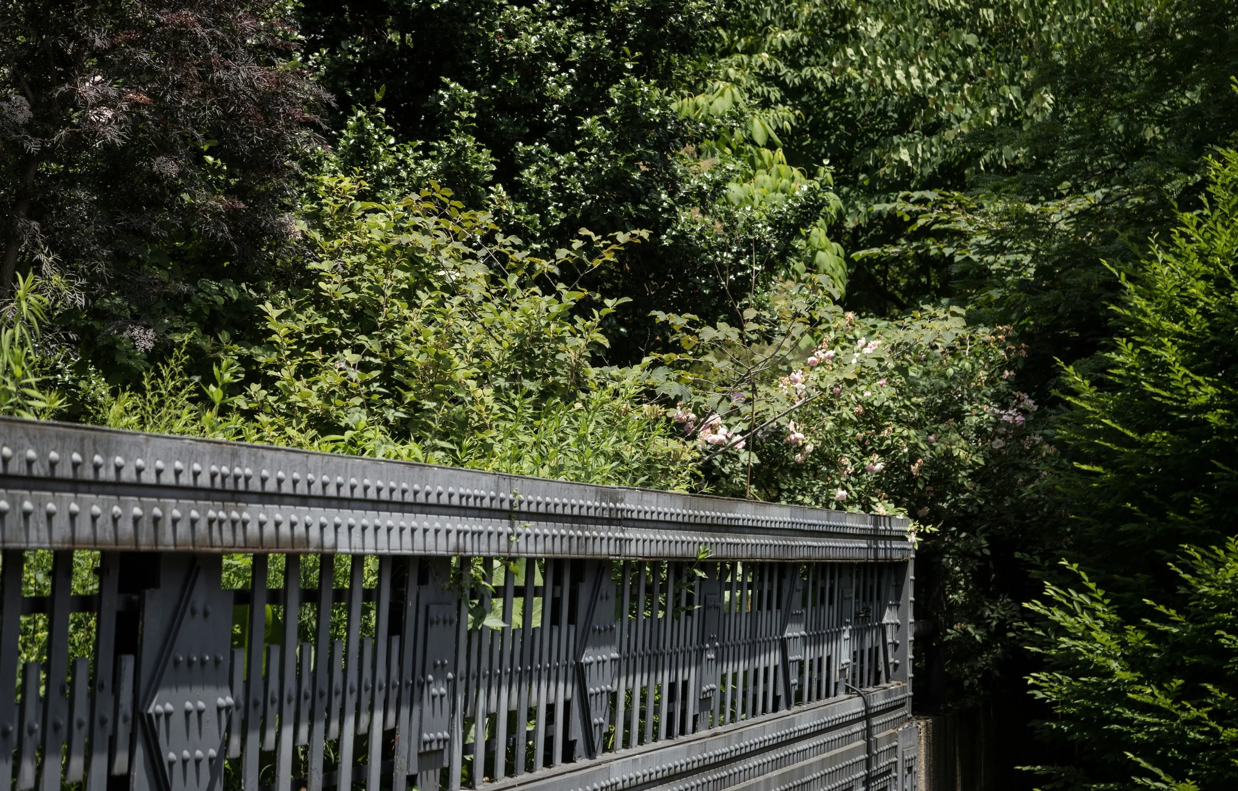 bernd-dittrich-the-high-line.jpg