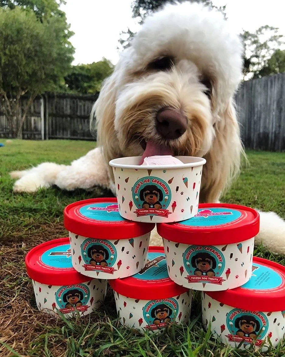 hugo's dog ice cream.jpg