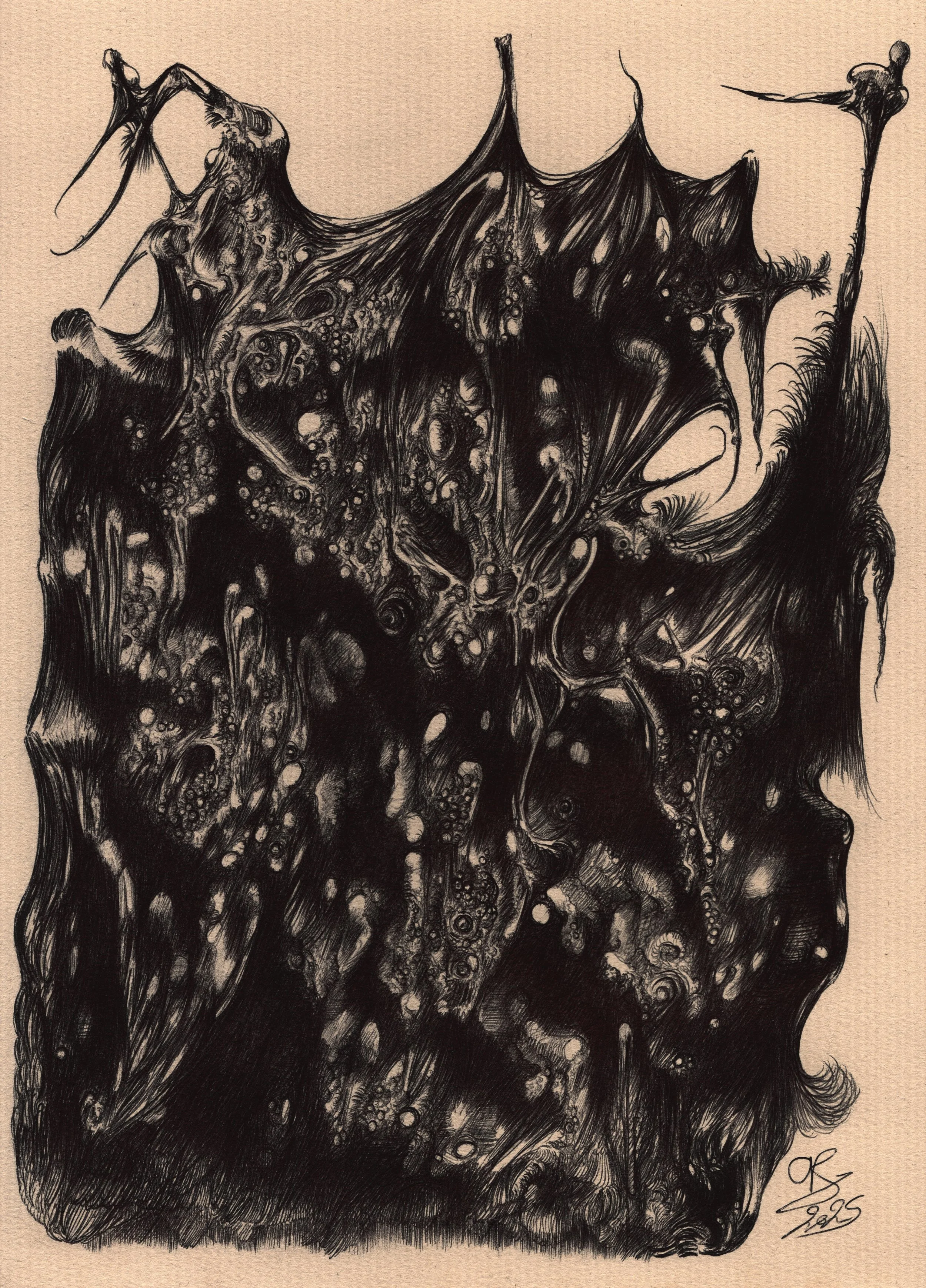 2024-11-03-17-29-30-01 - Copie.jpg