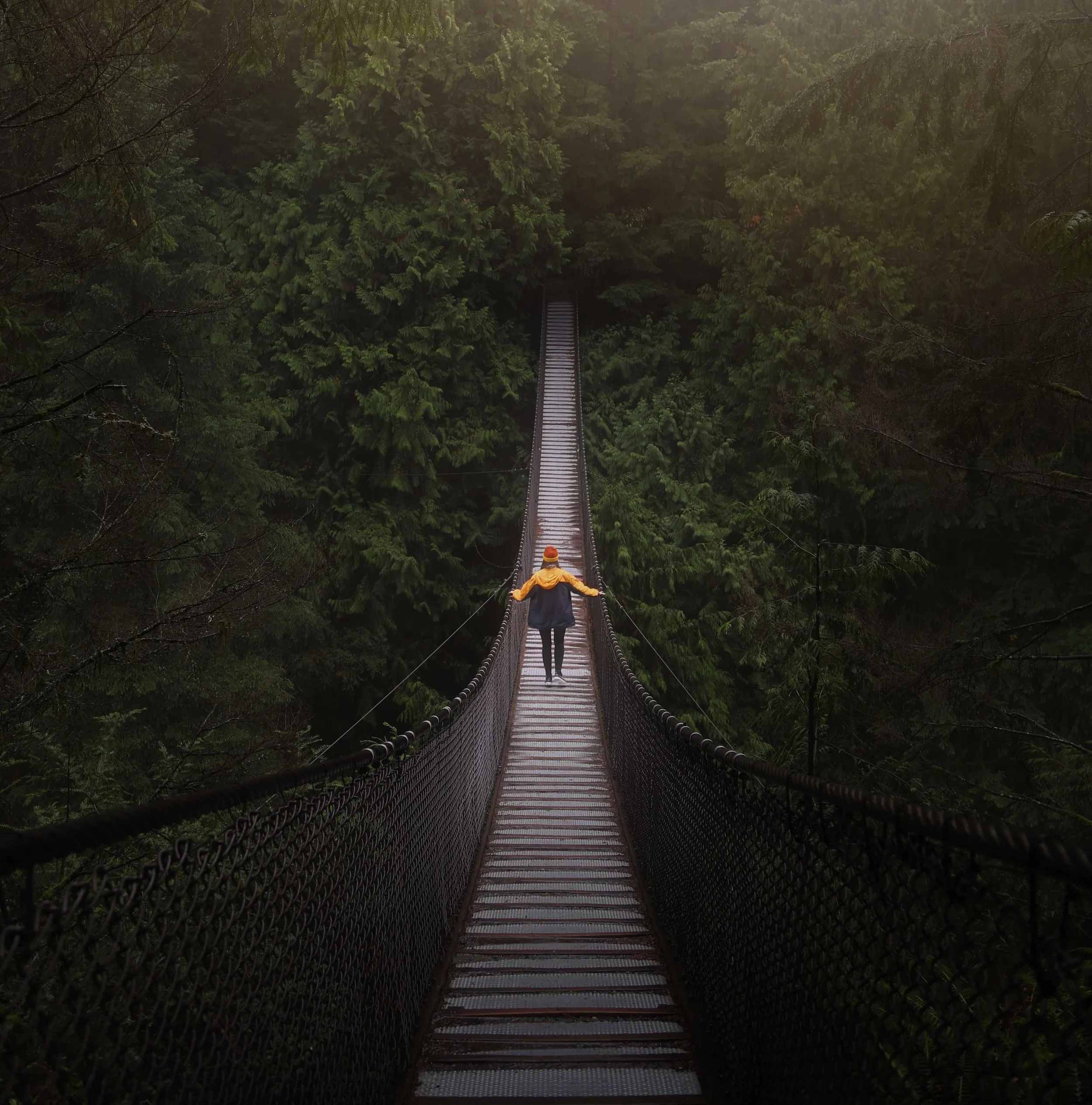 The path.jpg