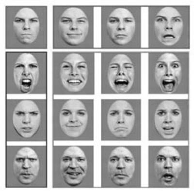 Face perception at the University of Iowa (2011)