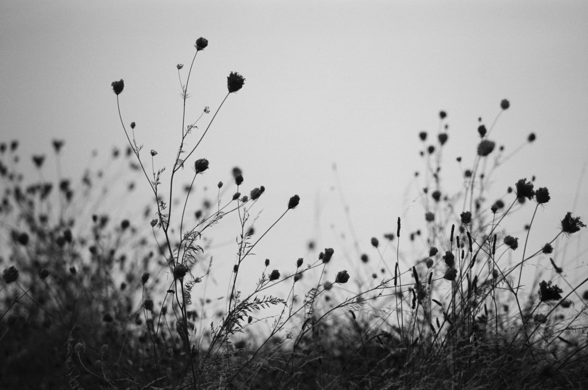 0010_10A.jpg
