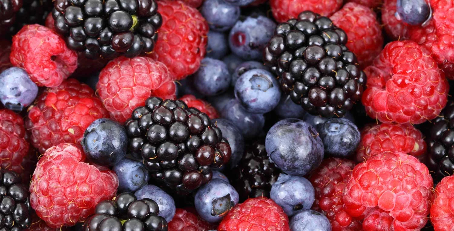 Fruit-banner-1500.jpg