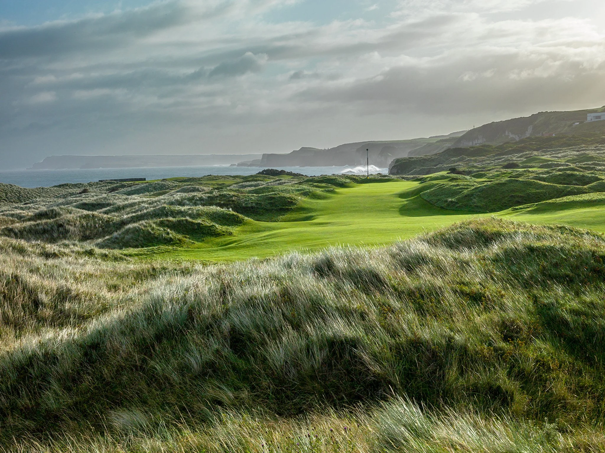 ROYAL PORTRUSH