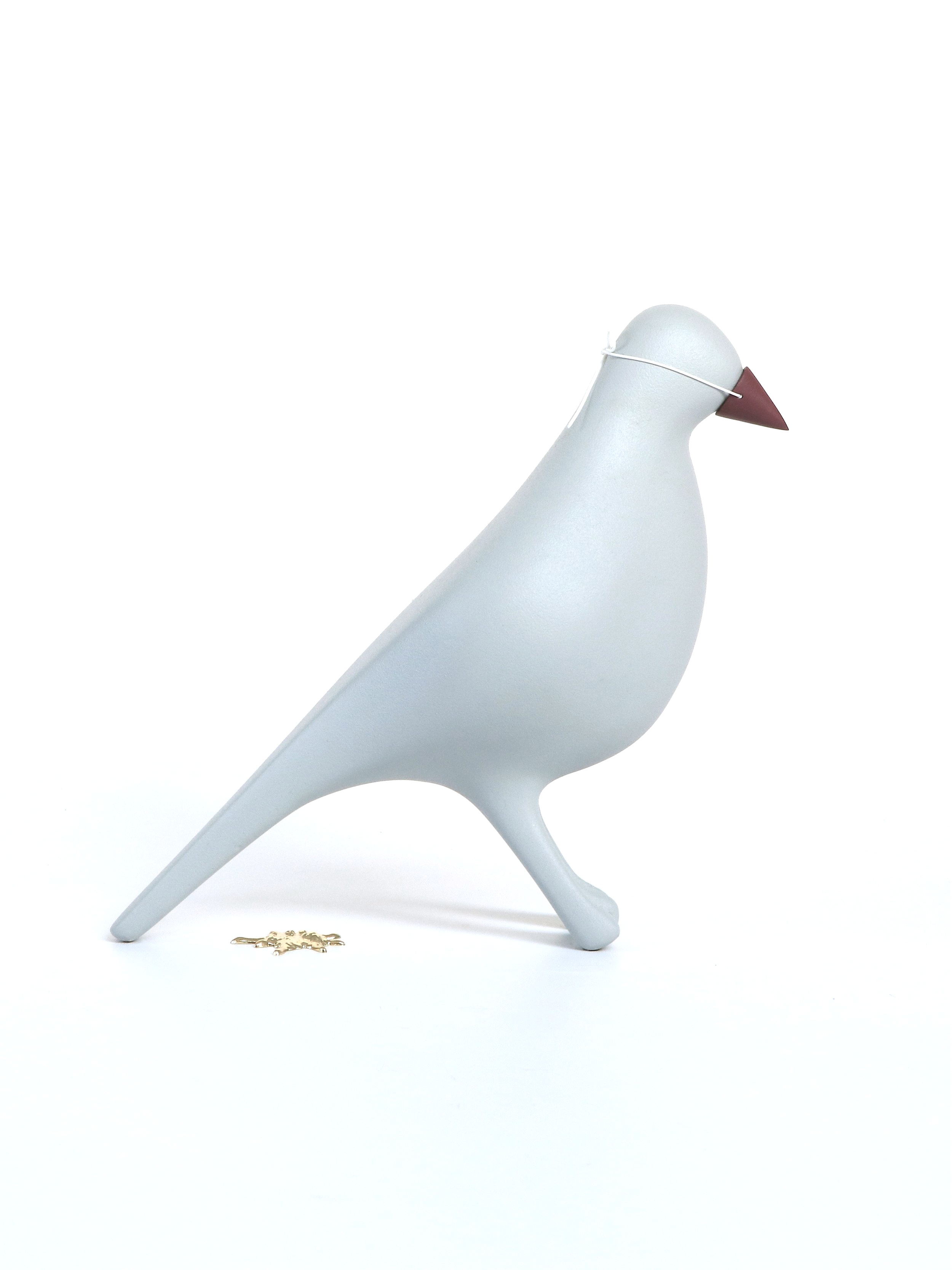   The Story   A design inspired by the common urban pigeon.   ‘Often downtrodden and little respected this humble bird can be seen around the city on the building ledges and rooftops, flying around the squares and open places, scavenging, defecating 