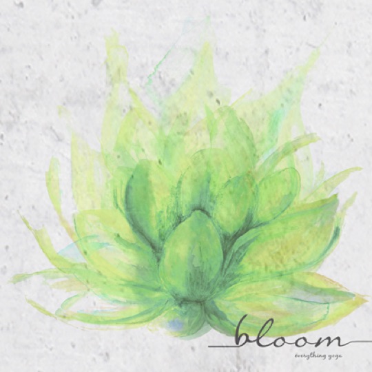 An Evening of Yin Yoga and Yamuna Body Rolling