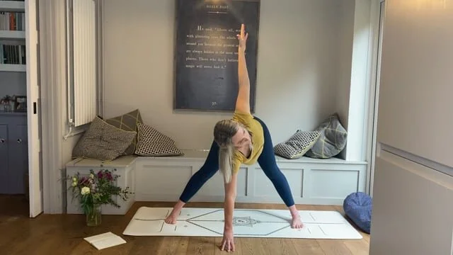 Fundamentals Prasarita Padotanasana 