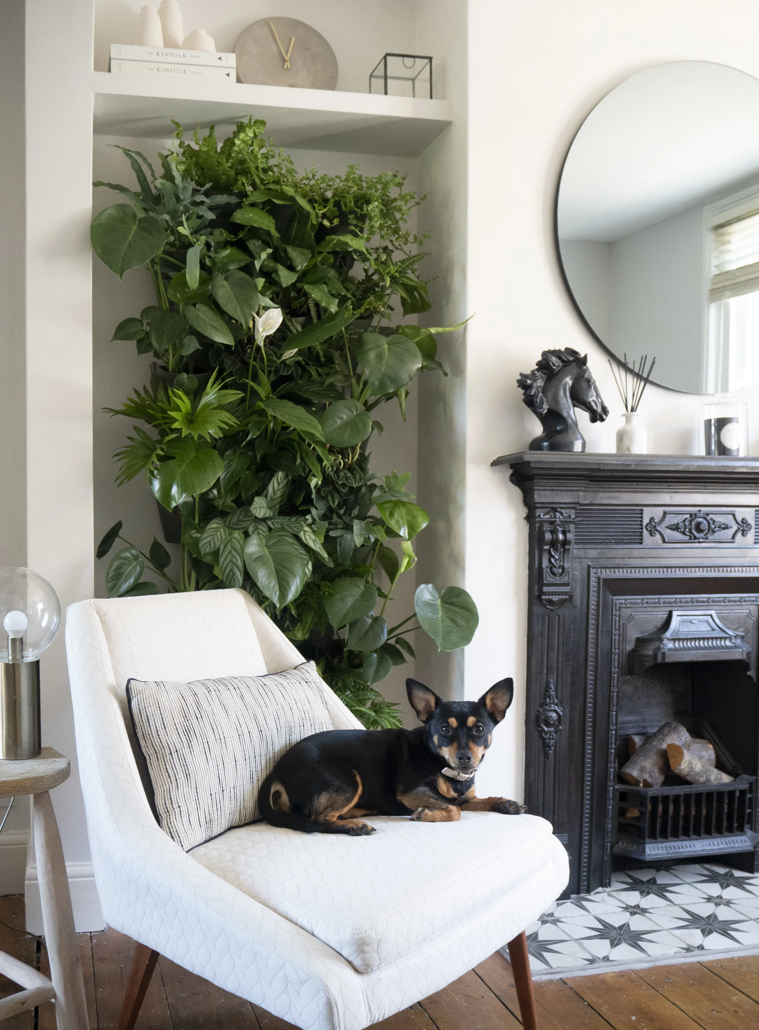 HOW I BUILT AN INDOOR LIVING PLANT WALL