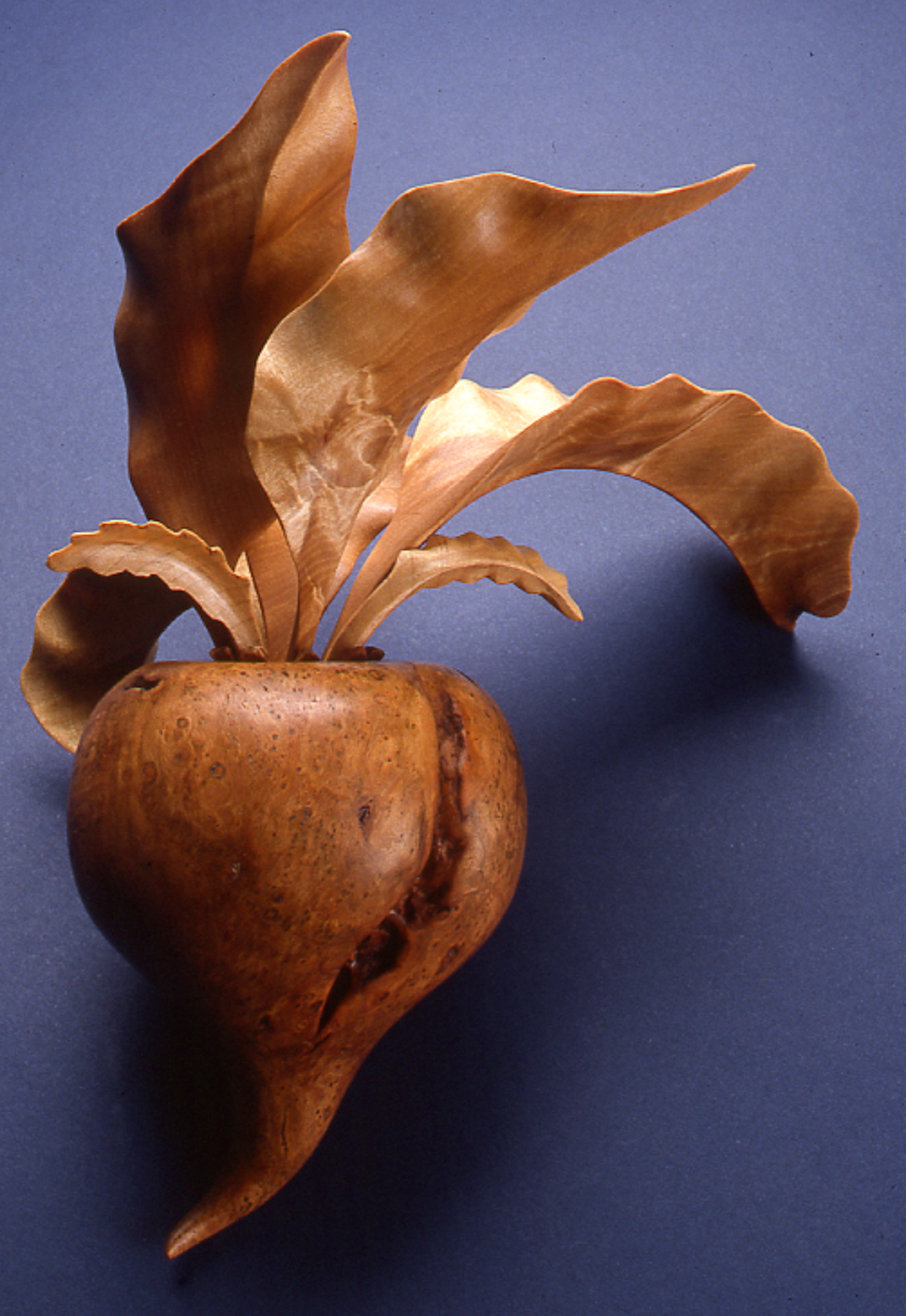 Beet, 1985