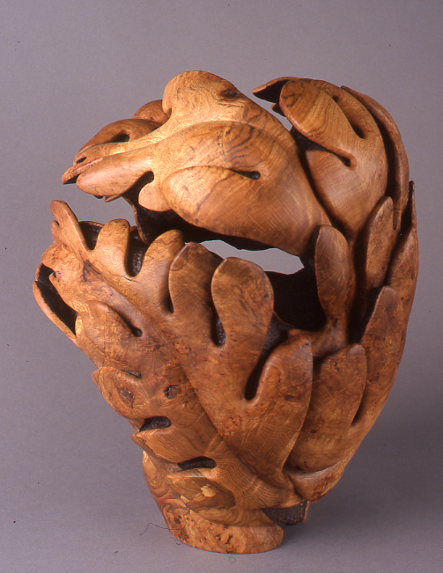 Quercus Vase, 1998