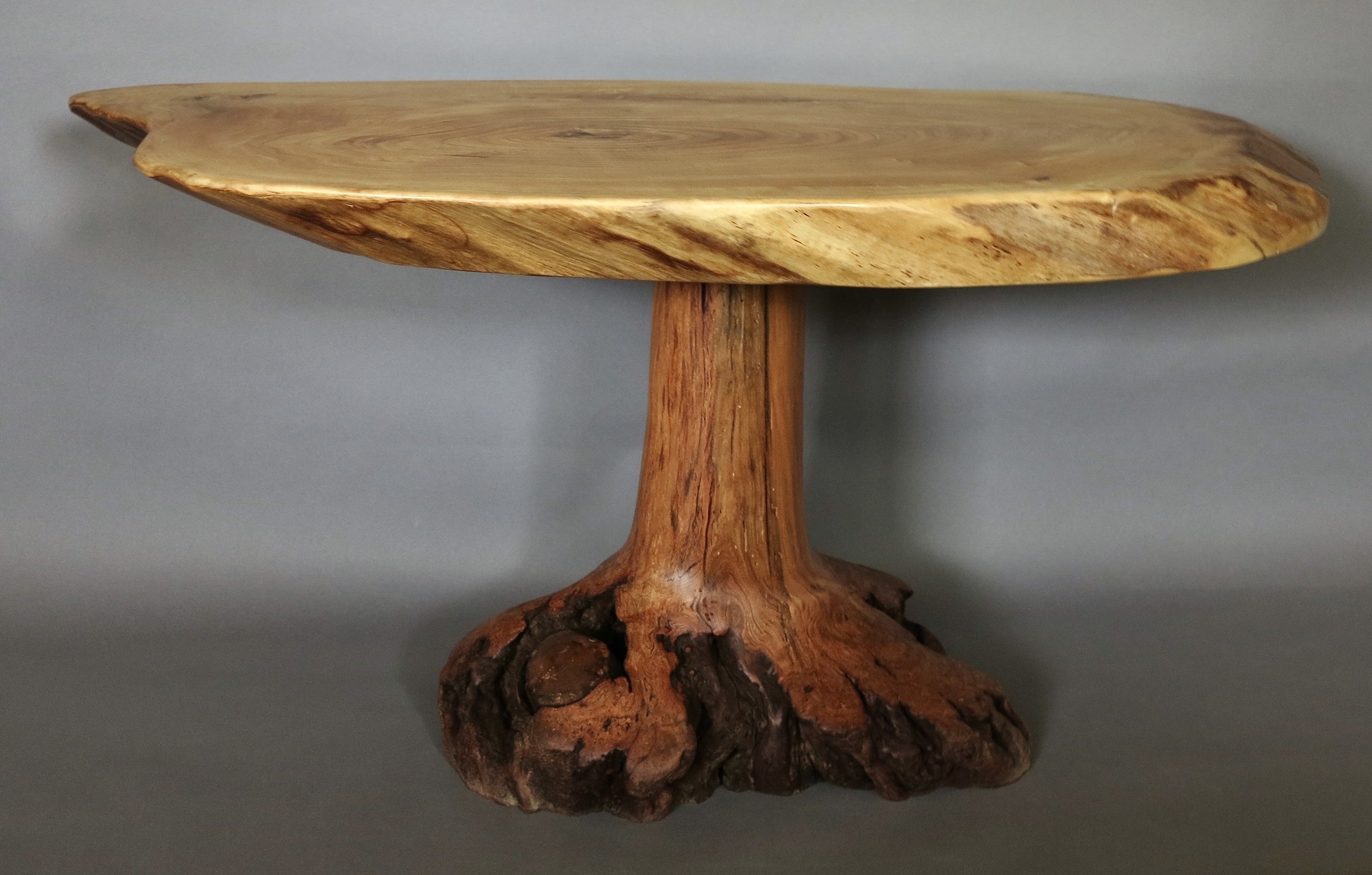 Tree Fountain Table: ulmas americana