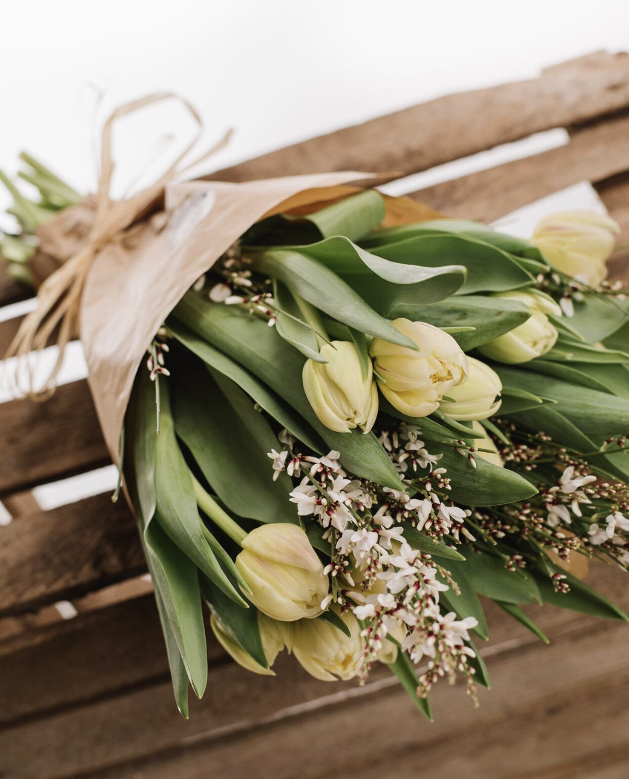 CDD22CCB-C776-4F55-9D1A-F54FCFD9A88D