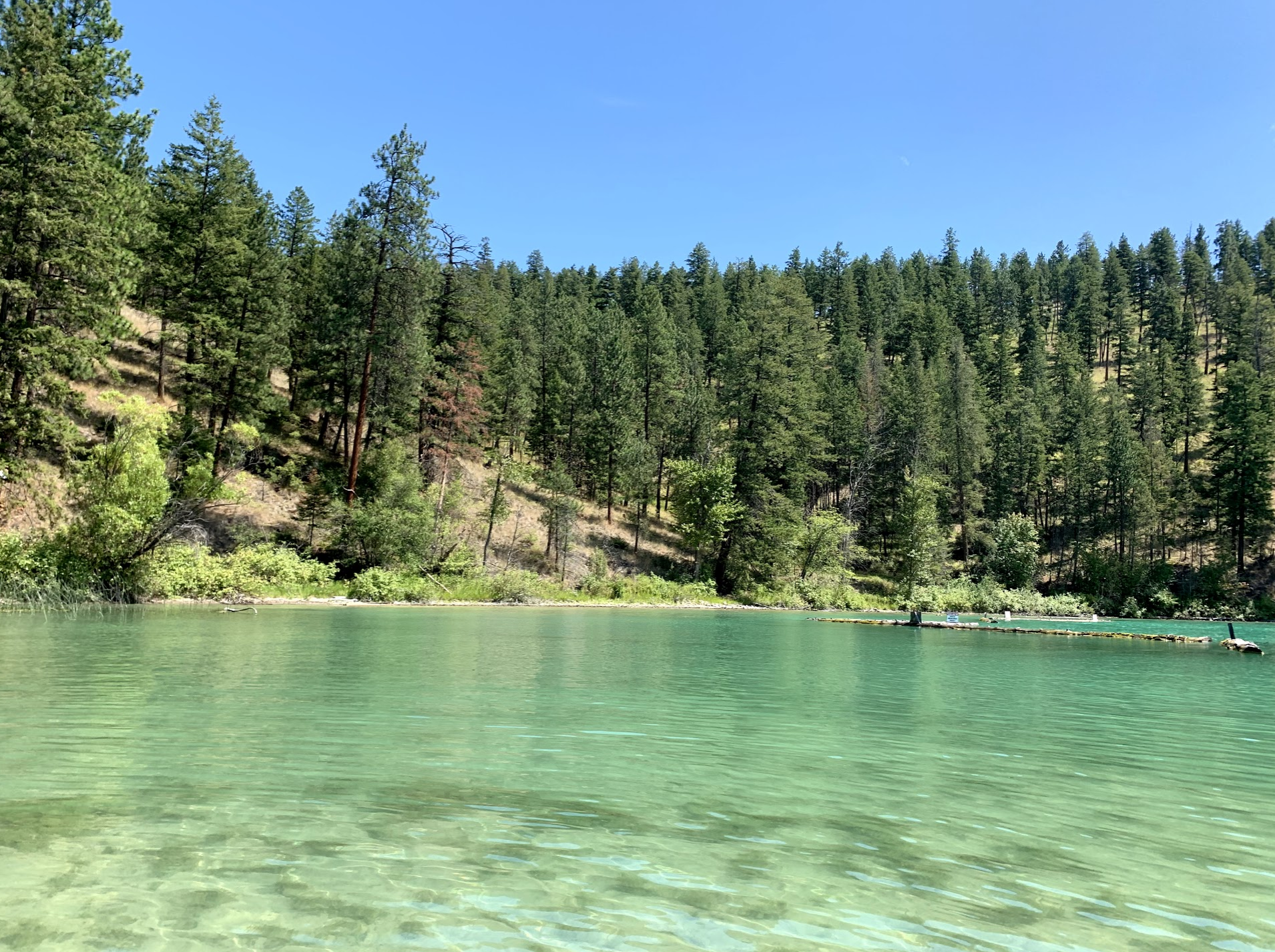 Photo Credit: Dr. Tosca Killoran. Kalamalka Lake 1 hour 27 minutes from Unisus