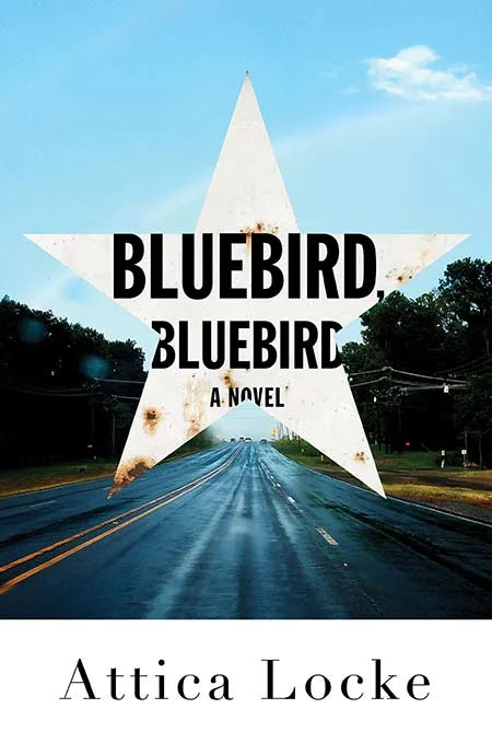 Bluebird-HC.jpg