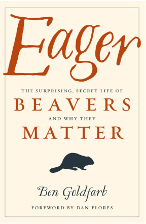 Eager_Beavers_and_Why_They_Matter.png